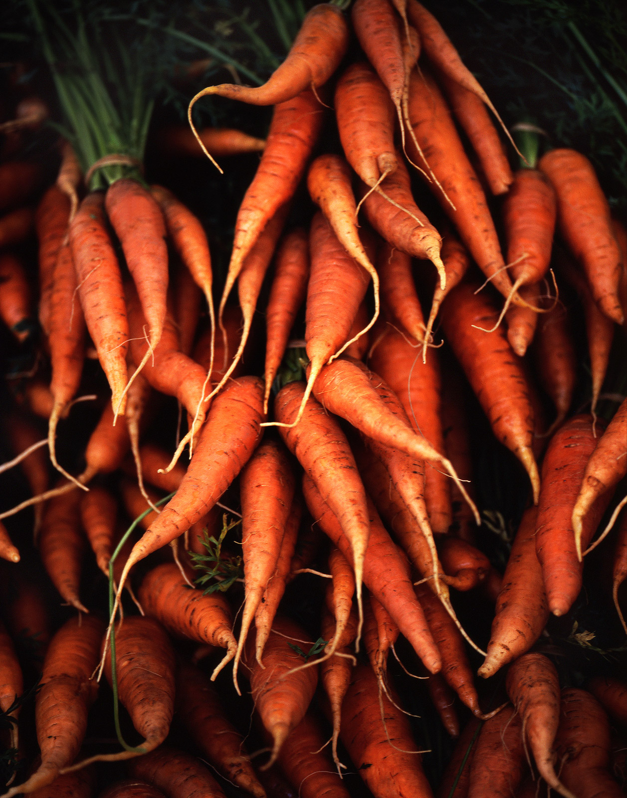 Carrots_contrast_web