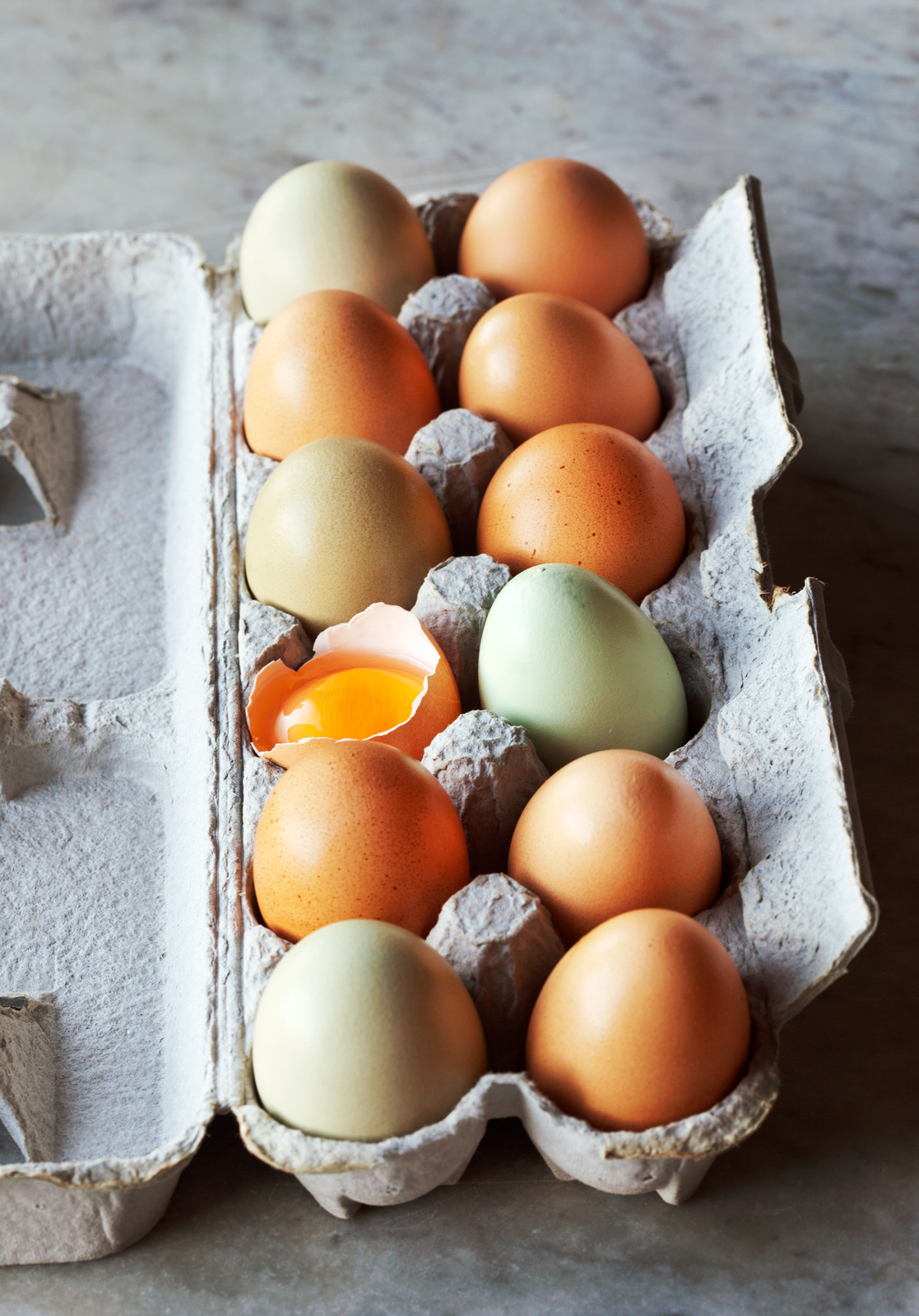 Fresh_Eggs_4900_contrast_web