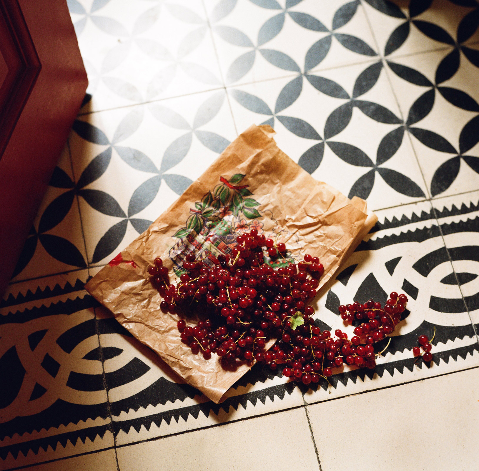 ParisCurrants_WEB2