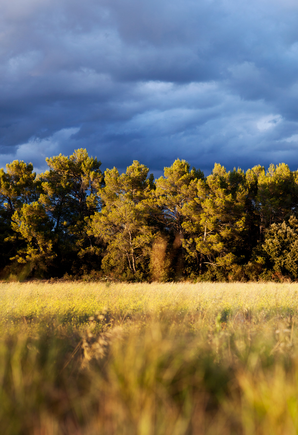 ProvenceStorm_IMG_1759_WEB2