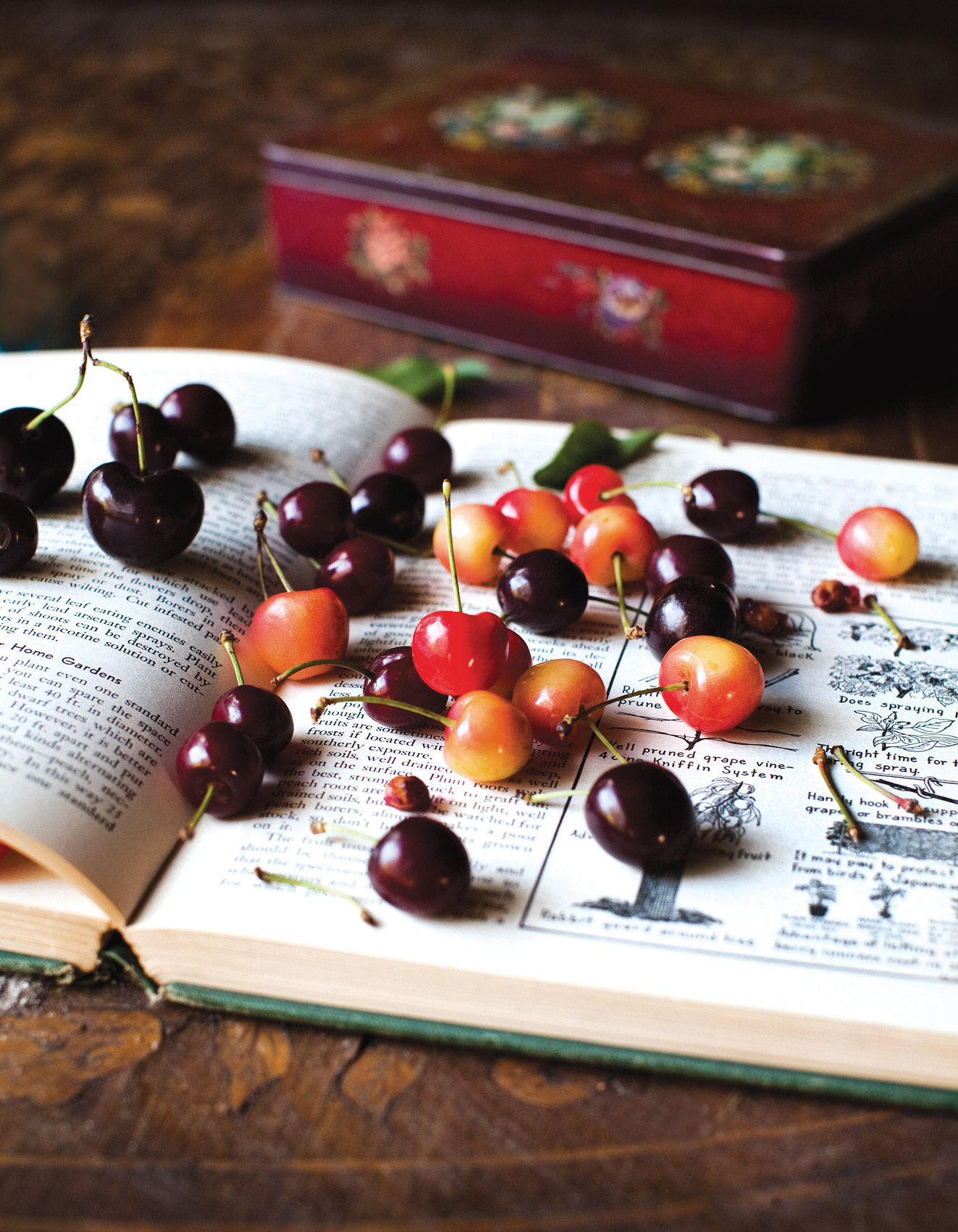 cherries_1755_web