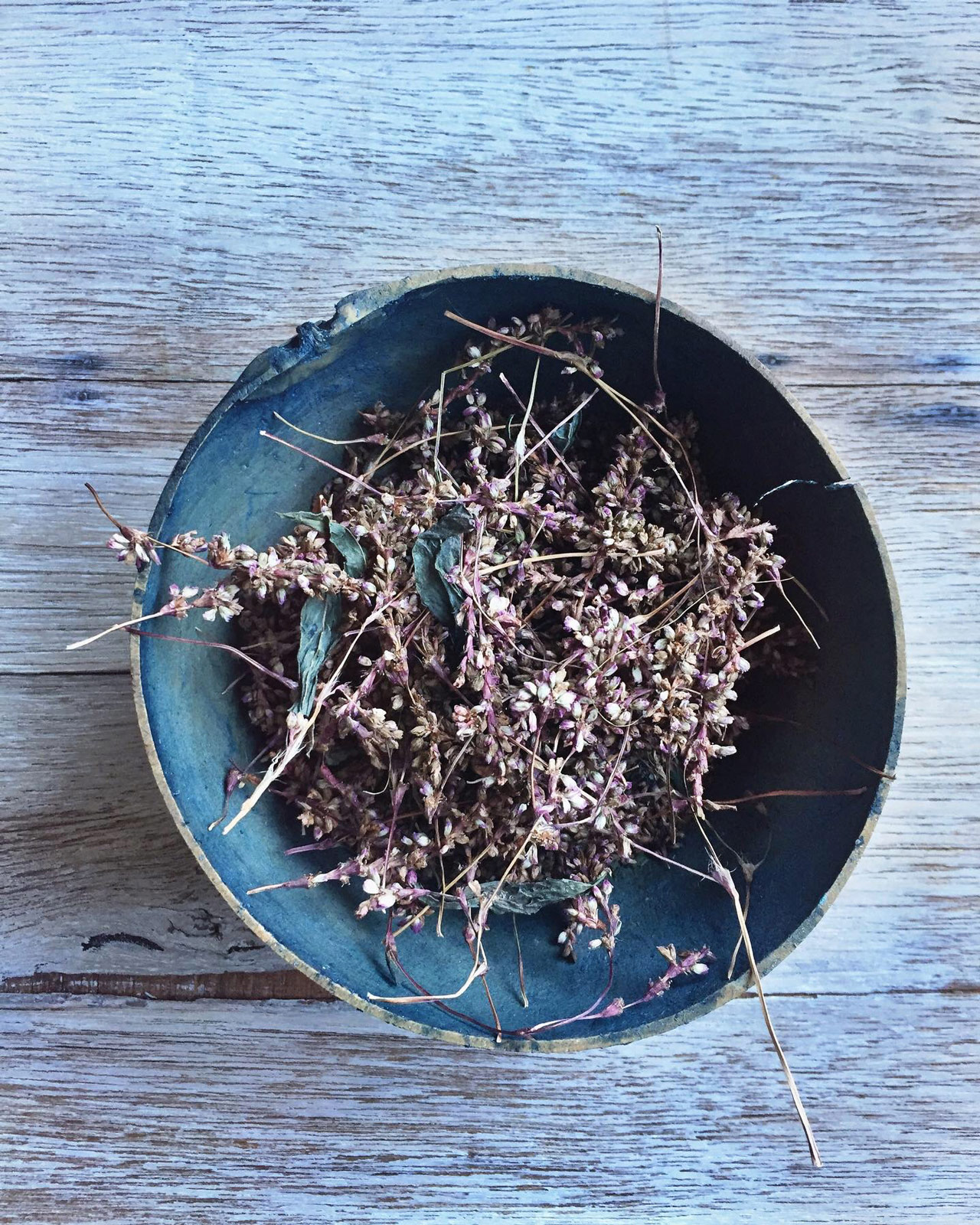 naturaldye_web